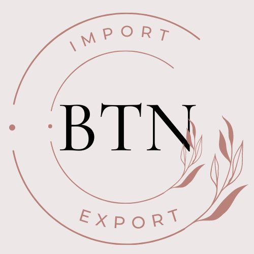 BTN import export logo design